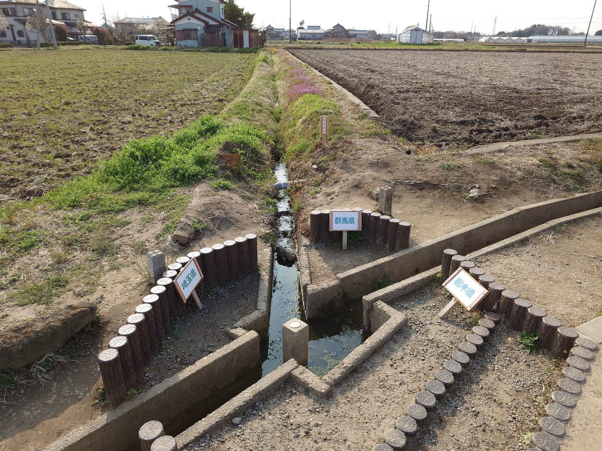 Aokashi (あおかし) tweet media