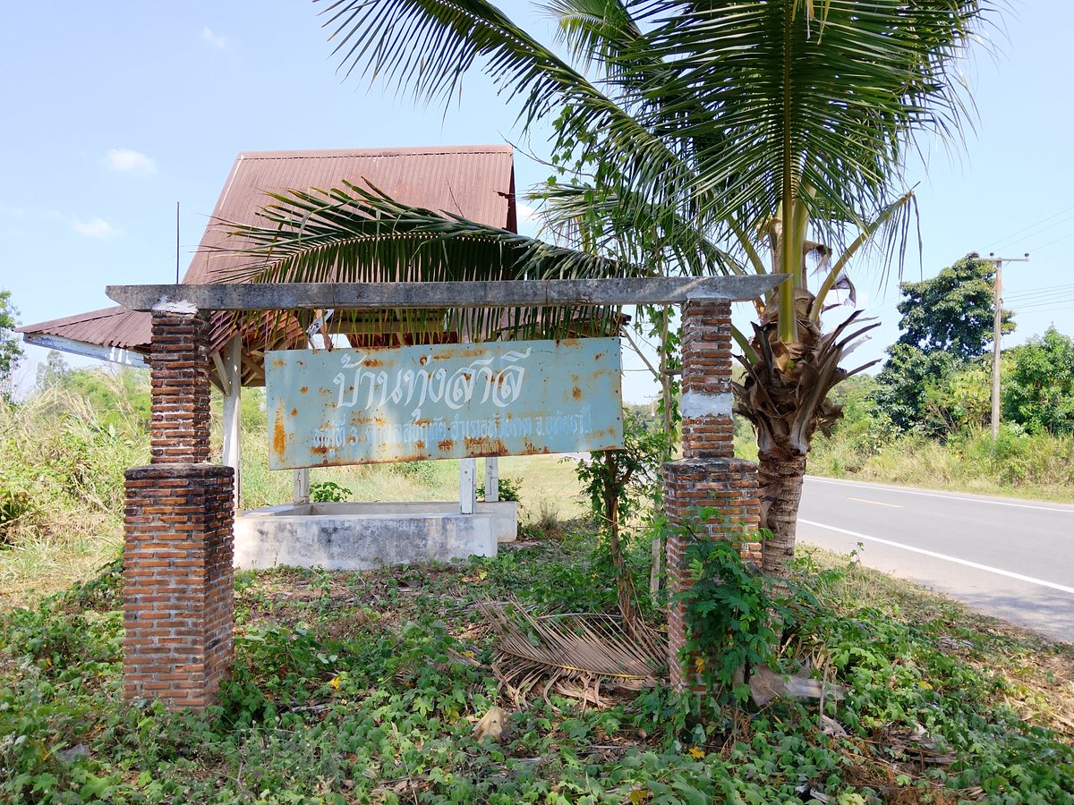 Sunatum Kongkay tweet media