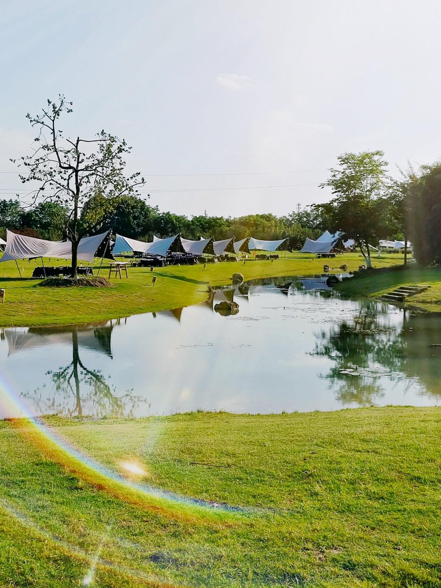 Надежда tweet media