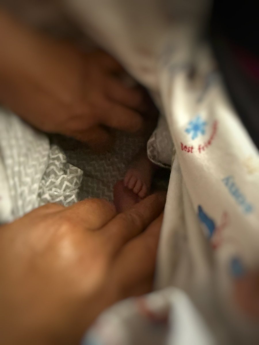 (G)imli Imchen tweet media