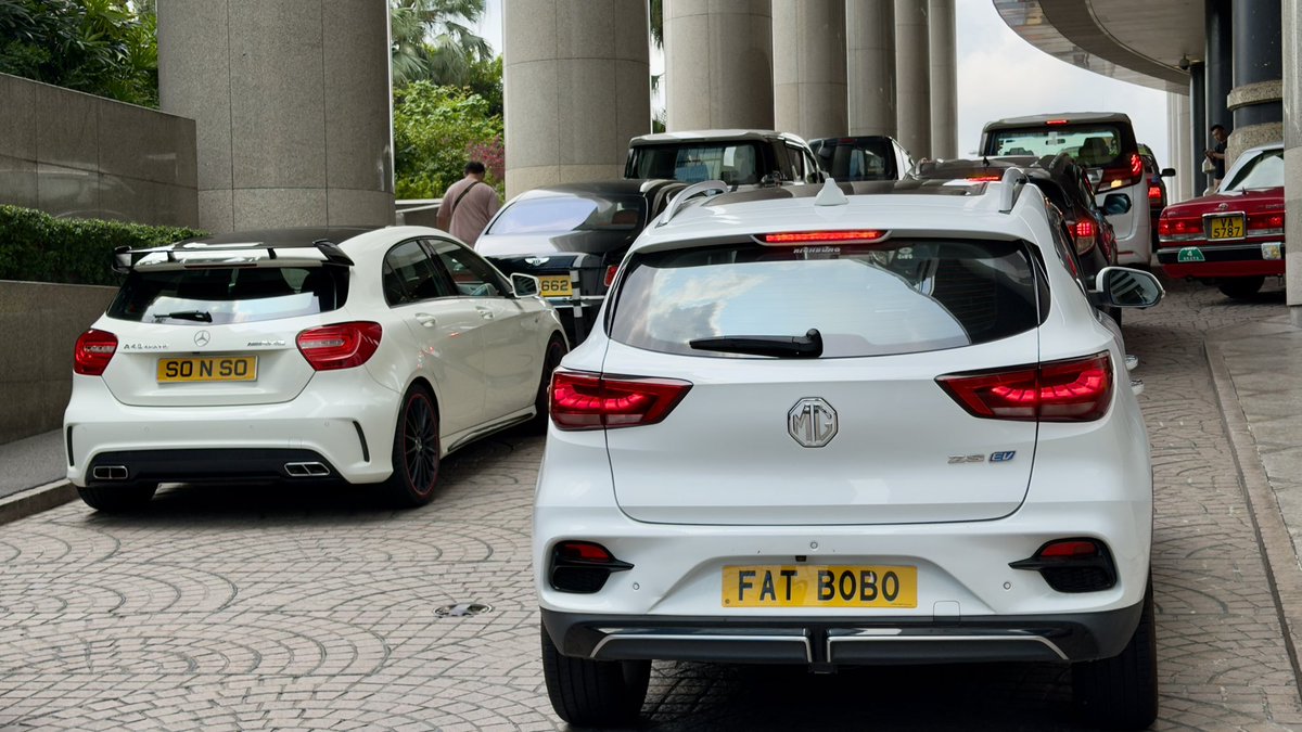 aublumberg's tweet image. His name was … and he looks like a … #hknumberplates #twofer