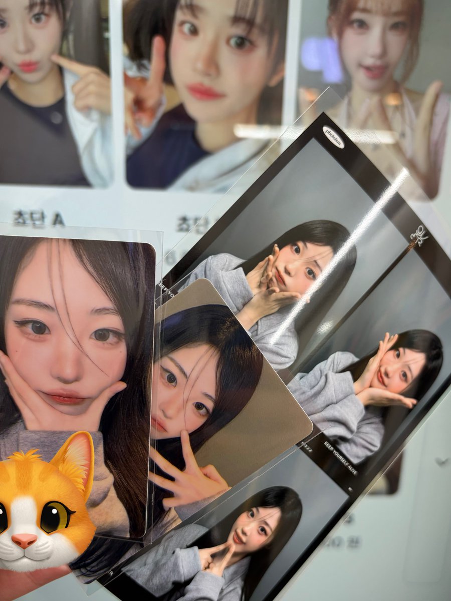 장롱냥이ᴱ tweet media