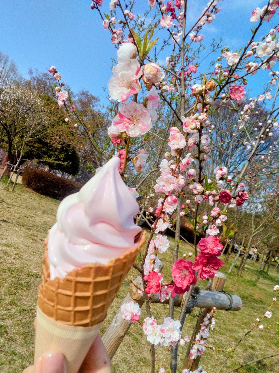 ハムカツおじさん tweet media