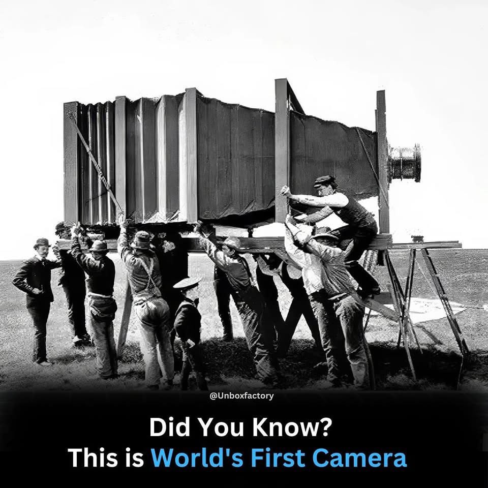 จจ ◡̈ ☁︎ *. 🌻🐈‍⬛ tweet media