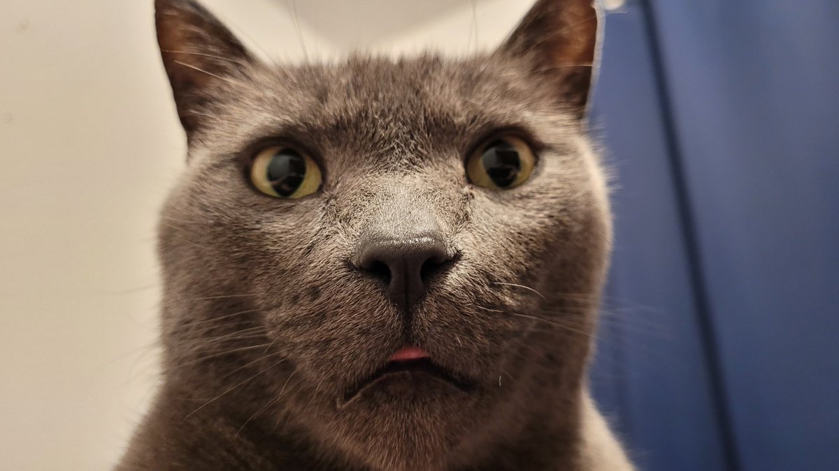 🇺🇸🇩🇪 Will 🏳️‍🌈🔞 tweet media