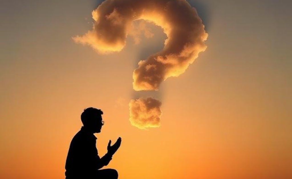 The 247 Catholic tweet media