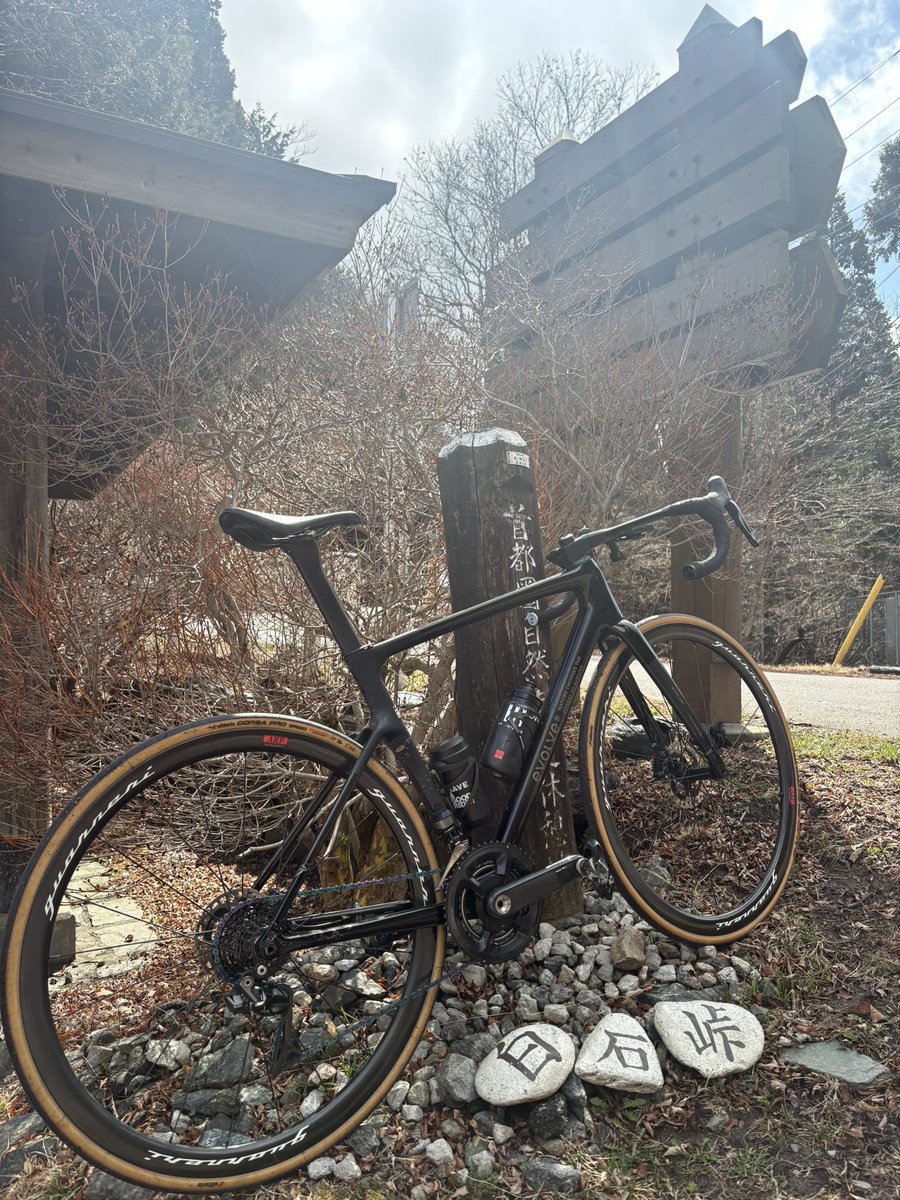 えーぞう tweet media