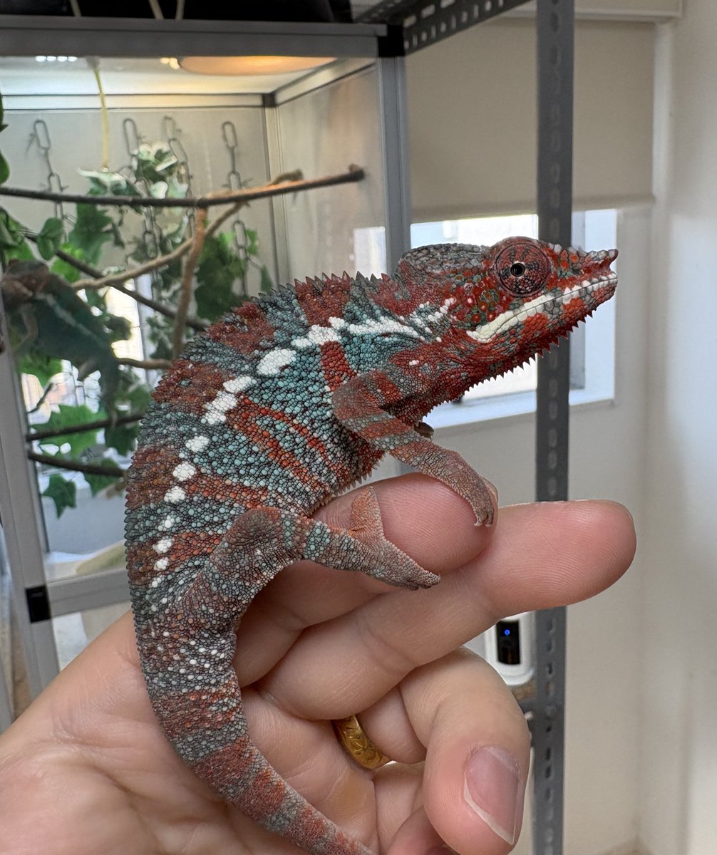 lien（リアン） 4月11日BS‼️ tweet media