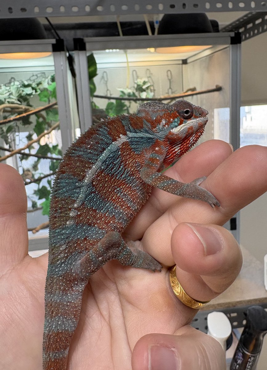 lien（リアン） 4月11日BS‼️ tweet media