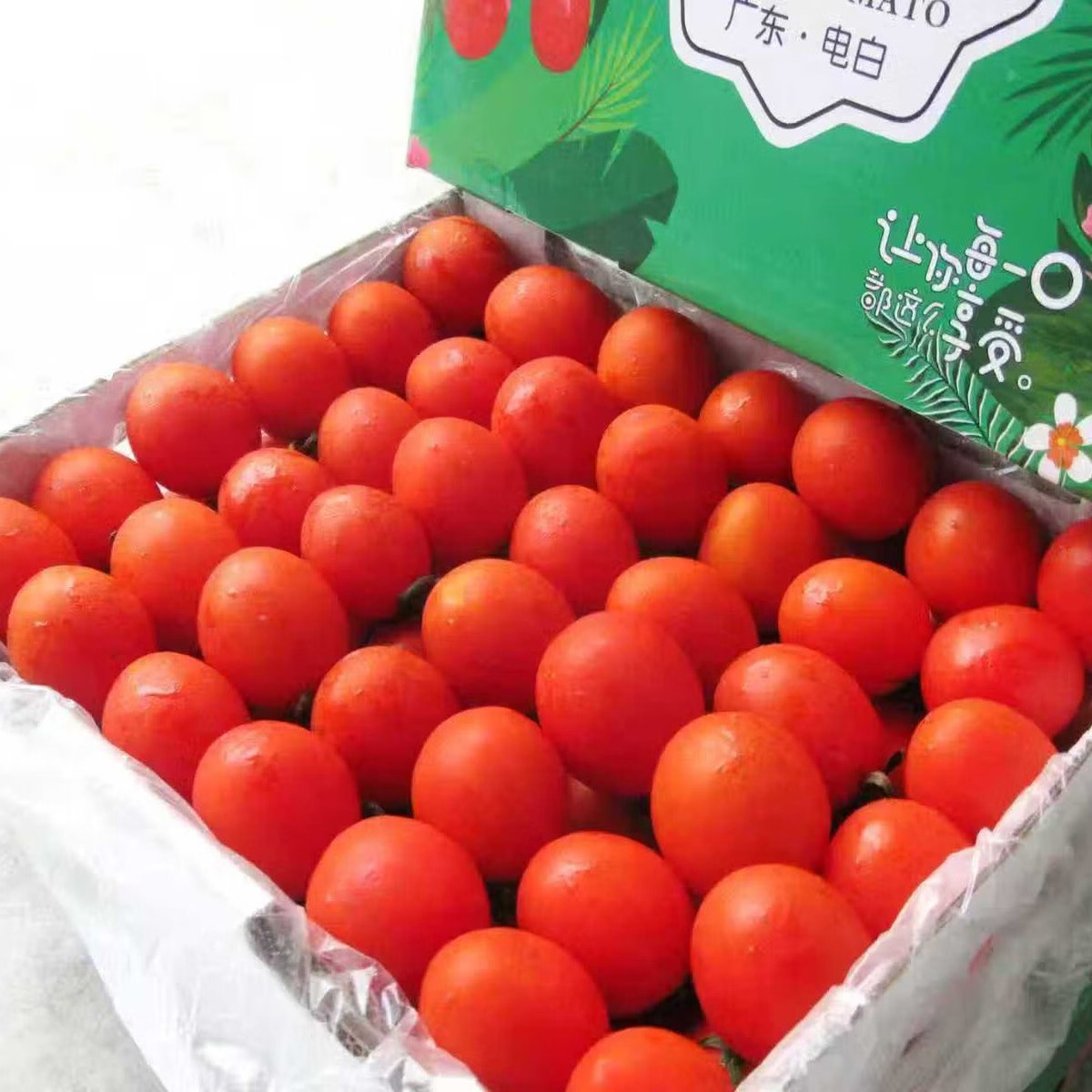 jessiy davies tweet media