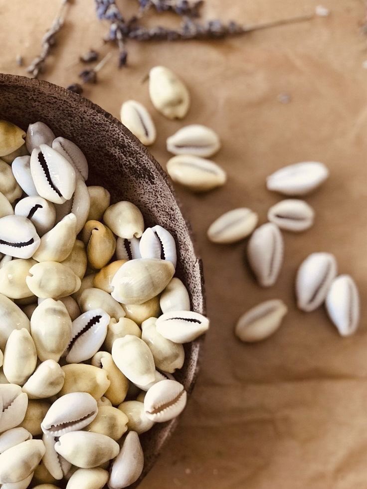 PeaceOfMind🌴🌿 tweet media