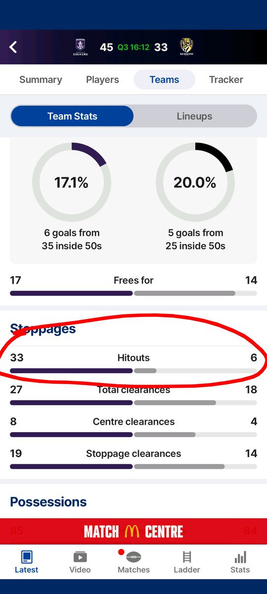 Tigerfox tweet media