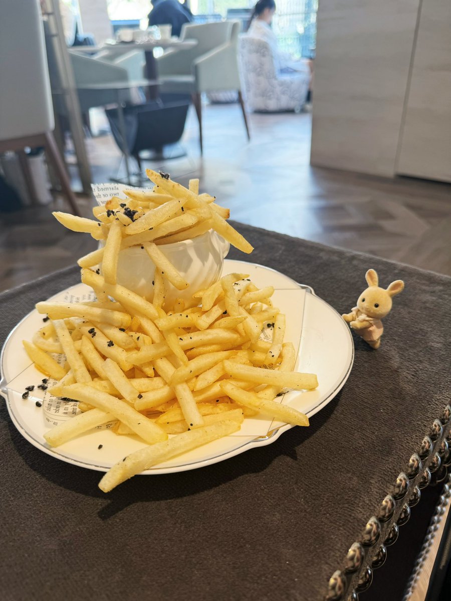 わんくーと🐶 tweet media