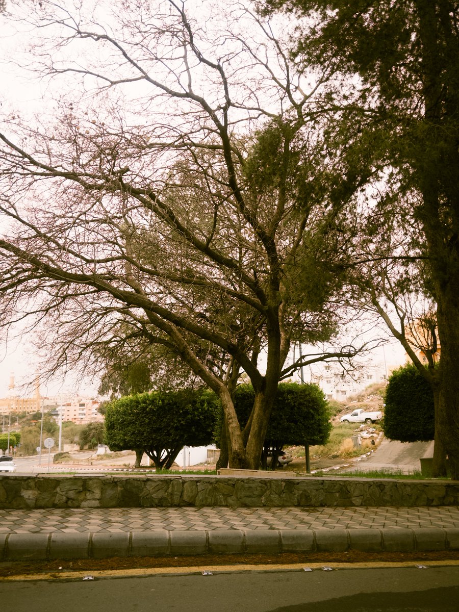 عبدالله آل موسى tweet media