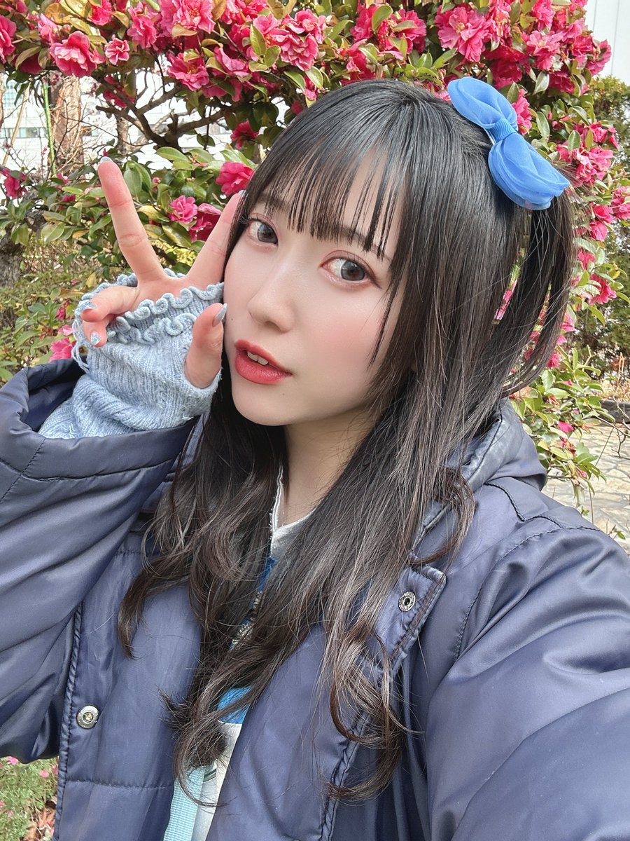 志田 結華 けっぱって東北 tweet media