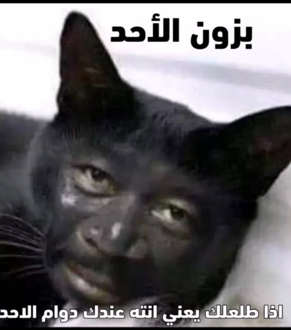 عبد الرحمن بن محمد tweet media