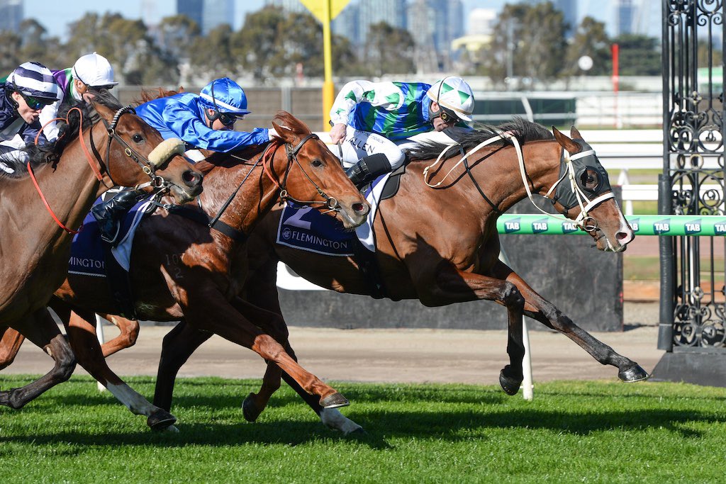 Busuttin Racing tweet media