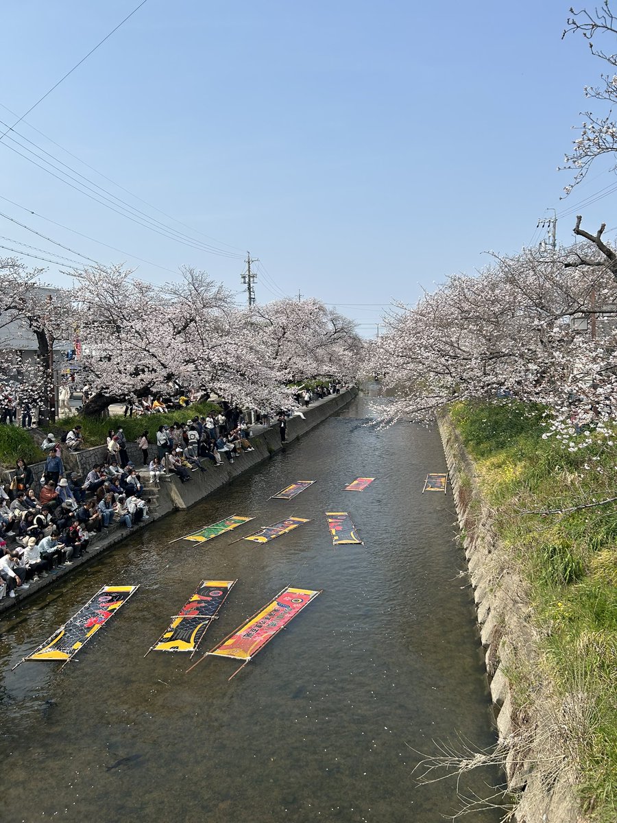 いおた♭ tweet media