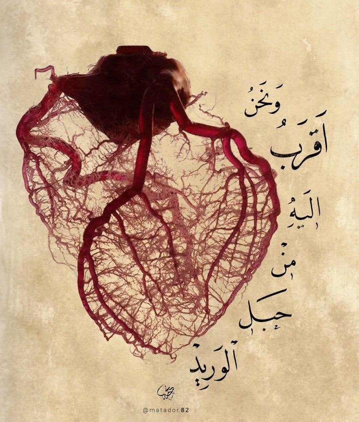 مقتبسات | Talal tweet media