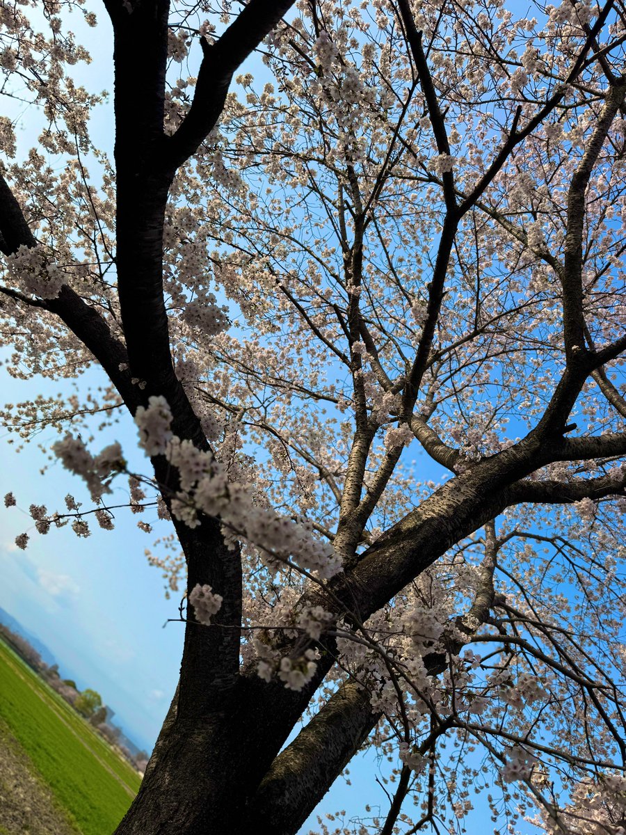 ふっき～ tweet media