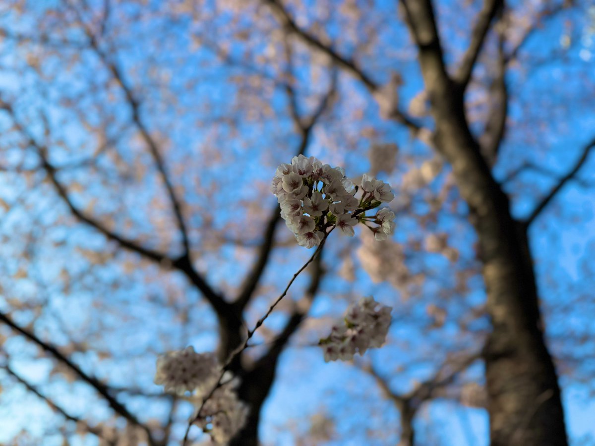 ふっき～ tweet media