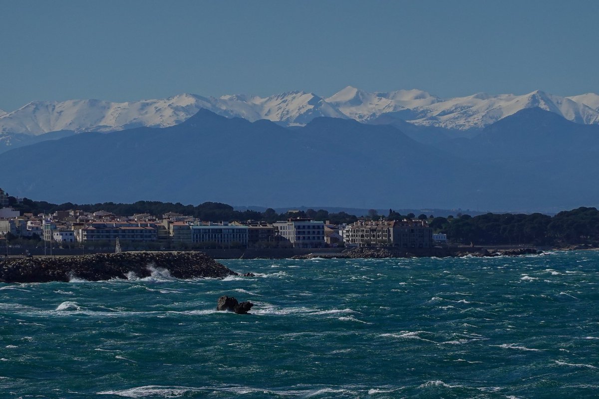 Toño Cañadas tweet media
