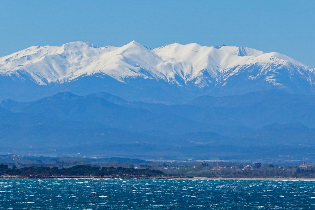 Toño Cañadas tweet media