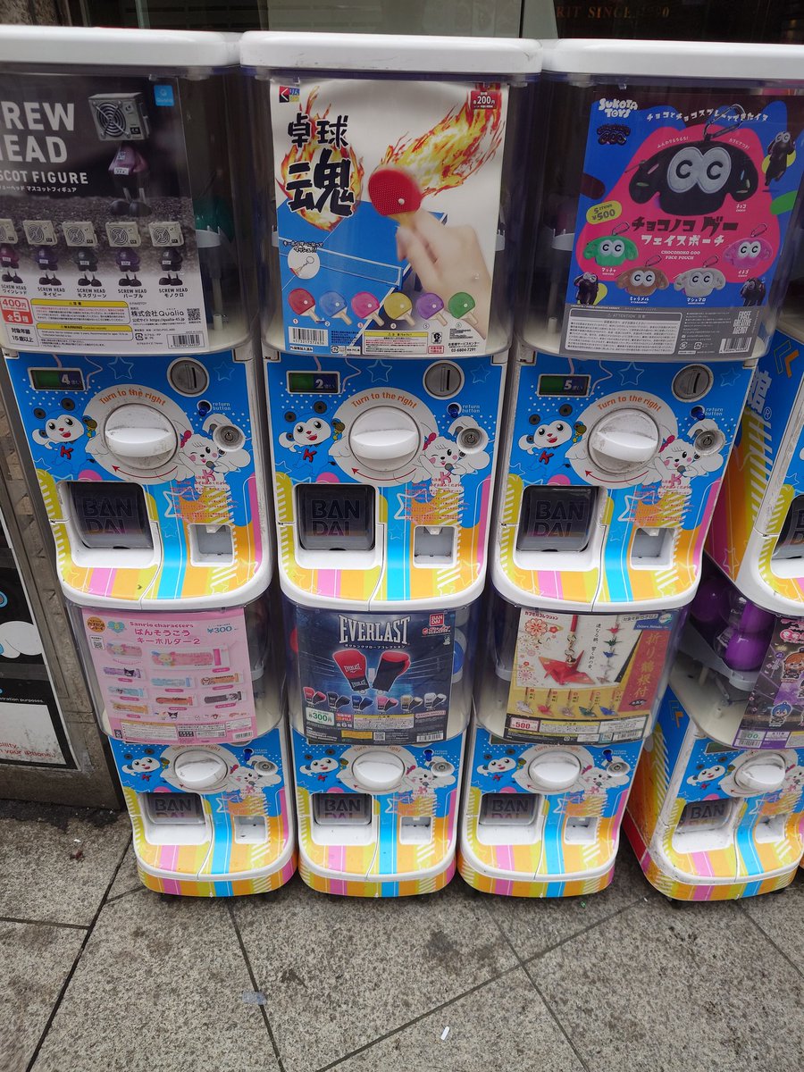 ボクシングジムトレーナー　佐藤 tweet media