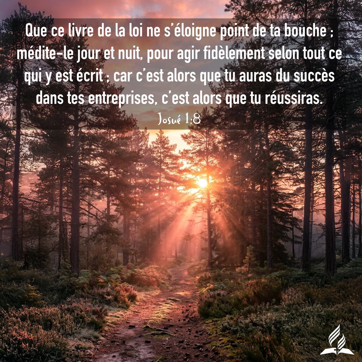 Église d'Épinal tweet media