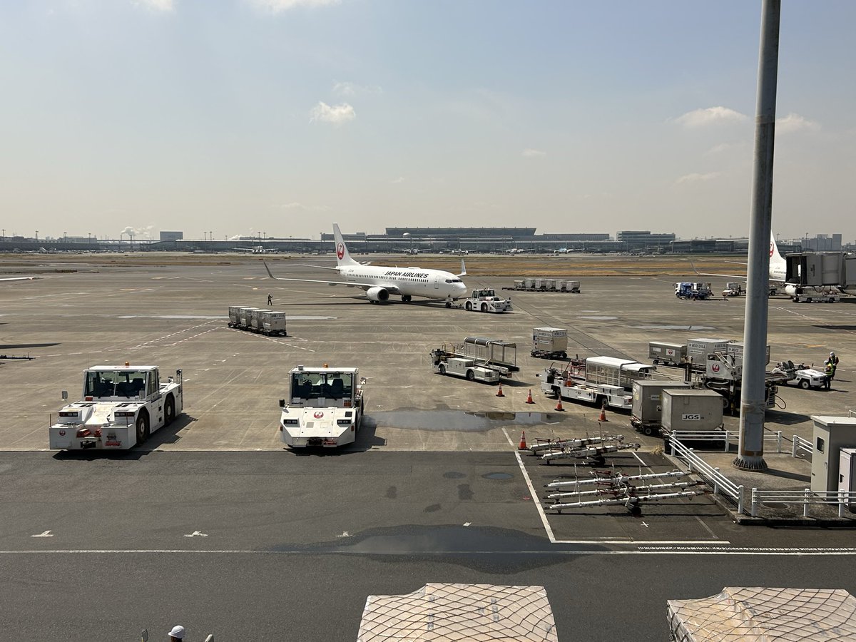 マルコ tweet media