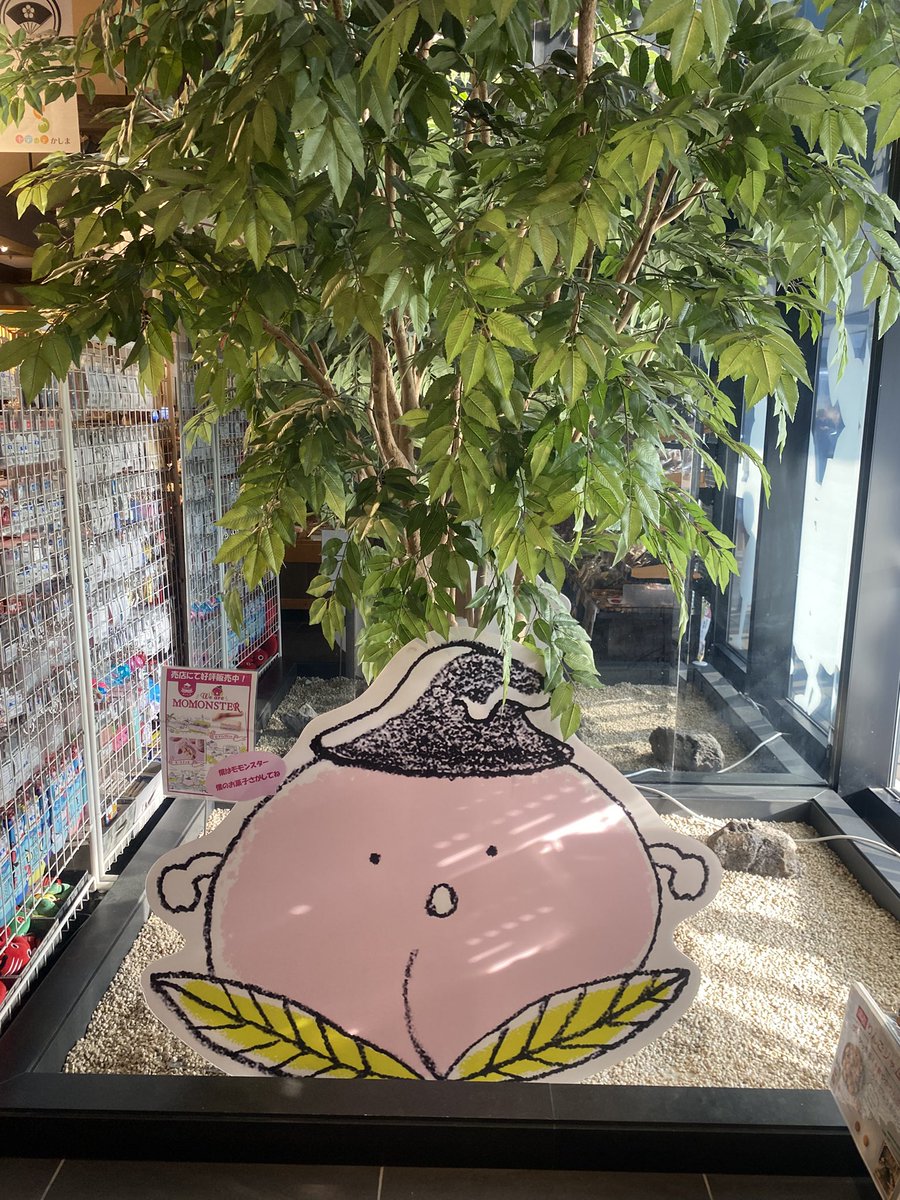 のんぴィ tweet media