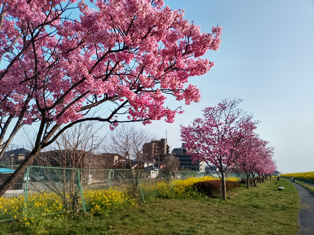 Cesse🍶 tweet media