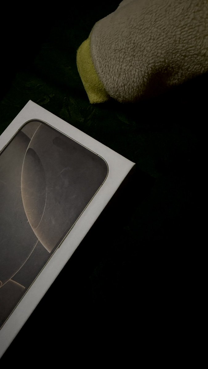 ʕᵔﻌᵔʔ tweet media