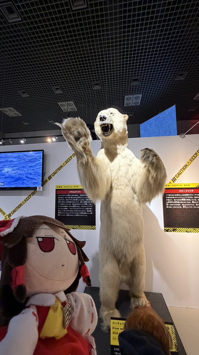 ふもふも幻想郷/Fumo JP Server tweet media