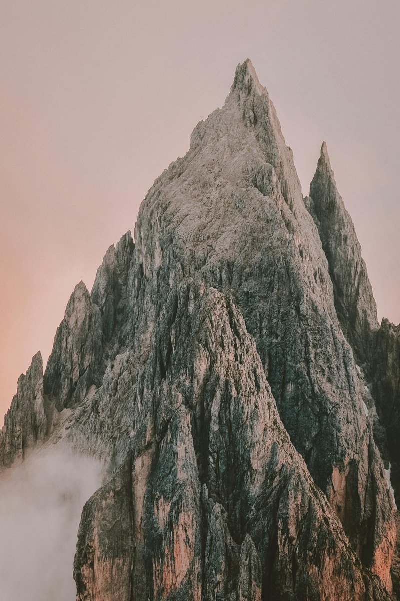 purenature_1 tweet picture