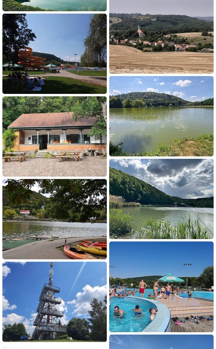 WandererVibes tweet media