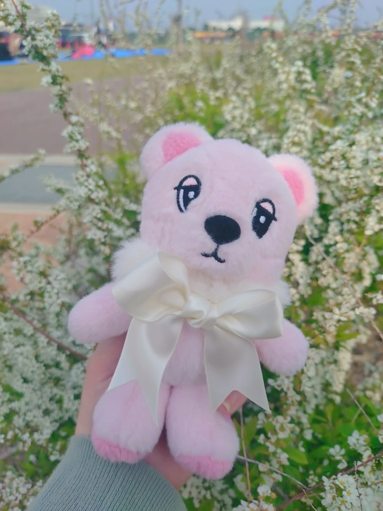 🌸🌸🌸