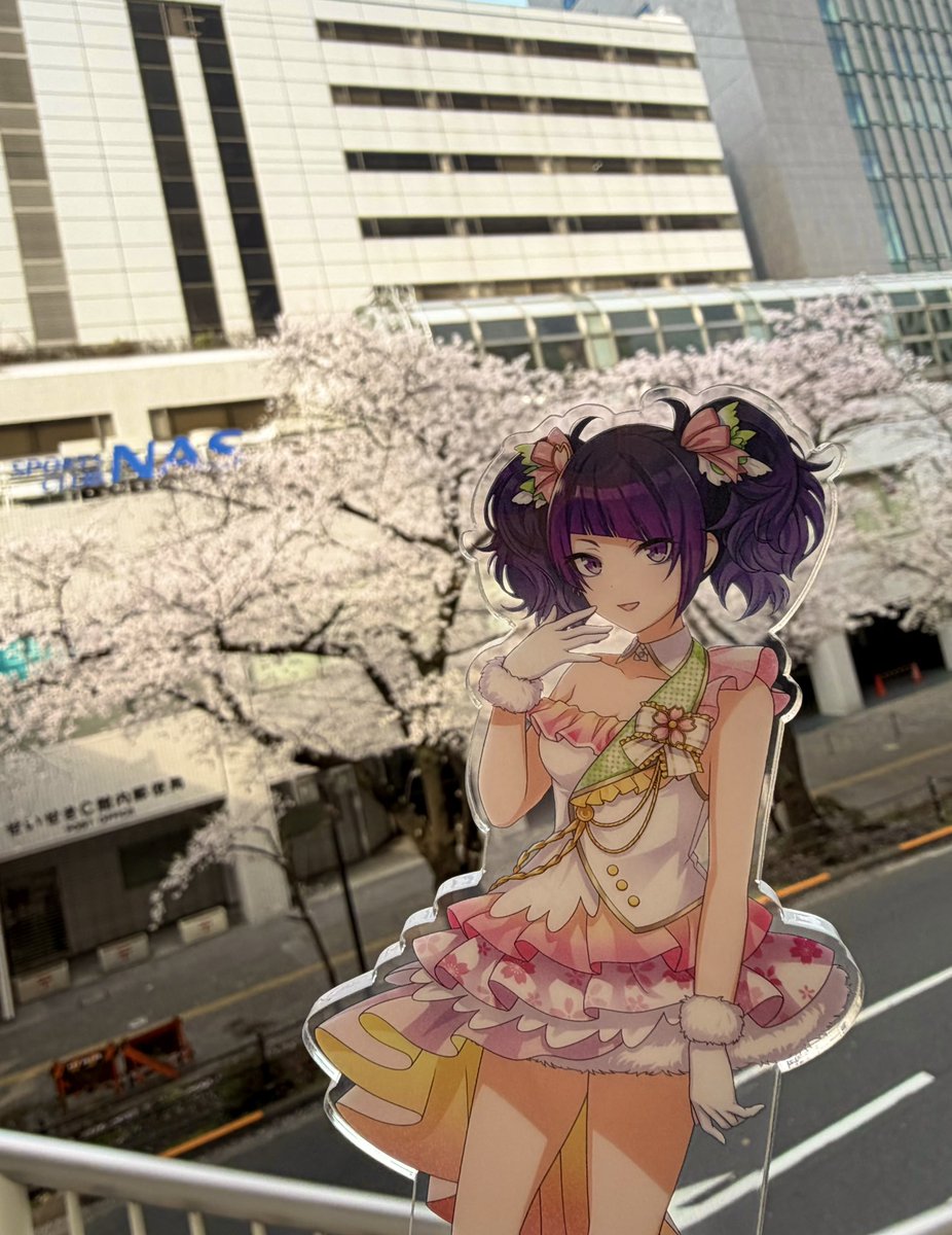 菅沼千紗 tweet media