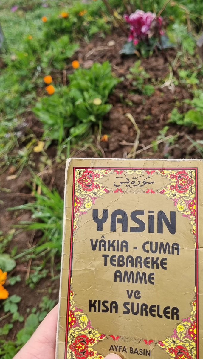 zcelik28's tweet photo. 10❤️‍🩹
elbet bir gün. 2705 https://t.co/JHzy6K6pgt
