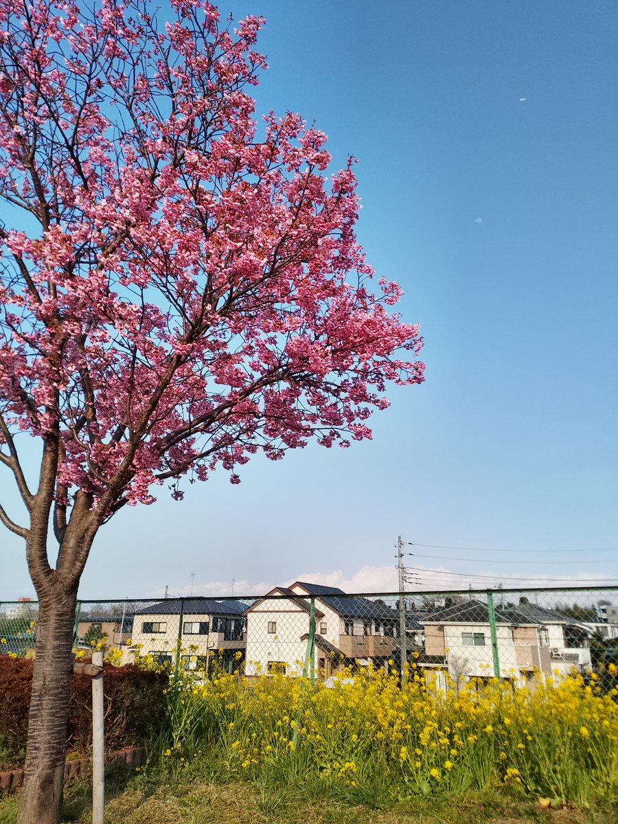 Cesse🍶 tweet media