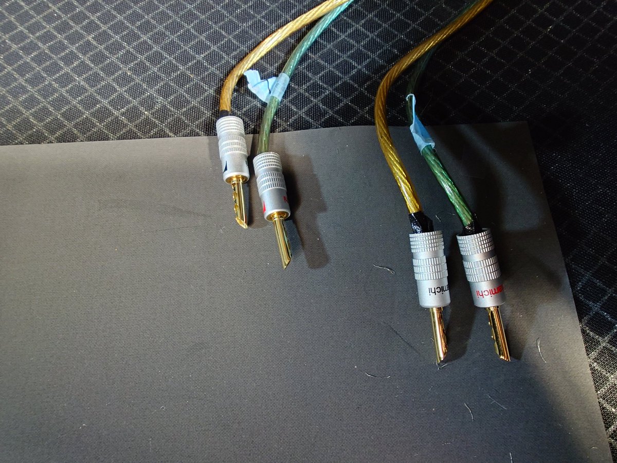 うみここもね tweet media