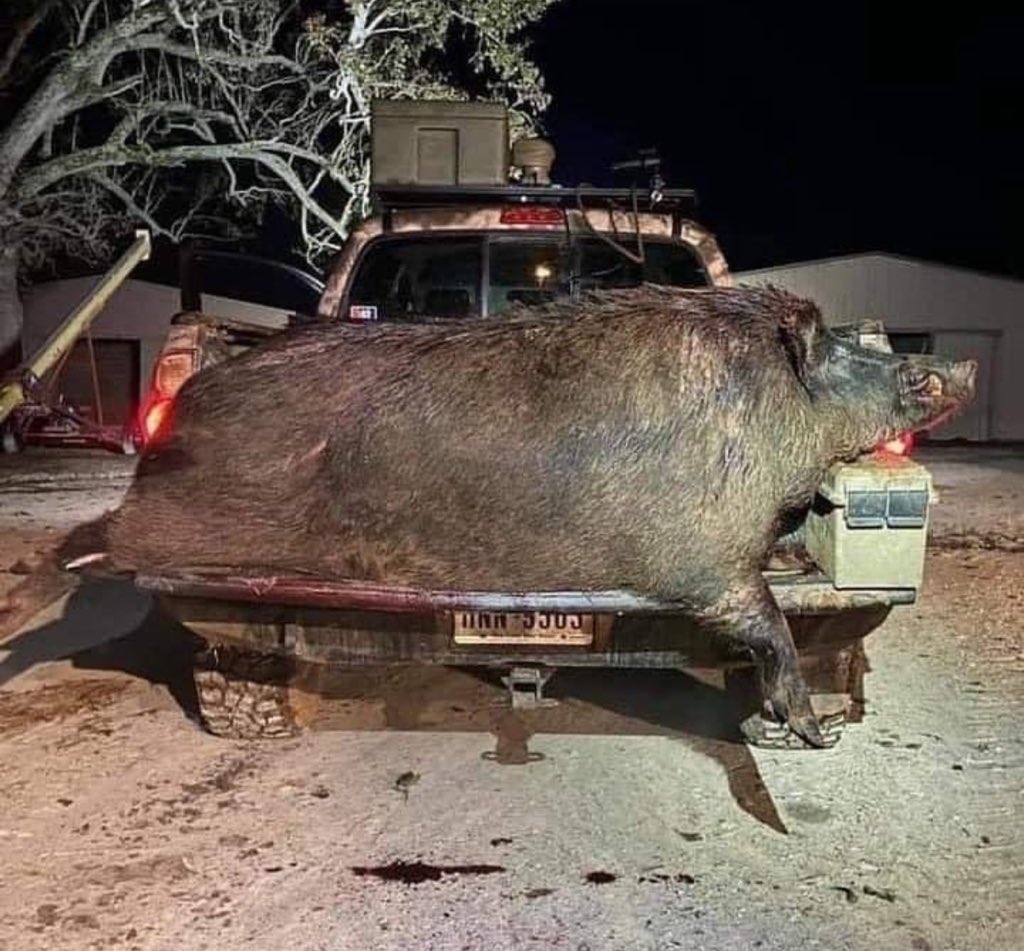 Guns Daily tweet media