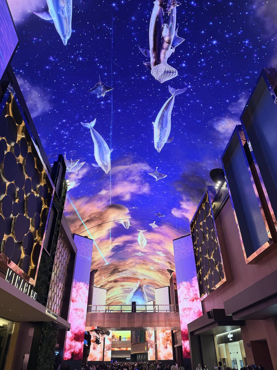 Trader_Jin tweet media