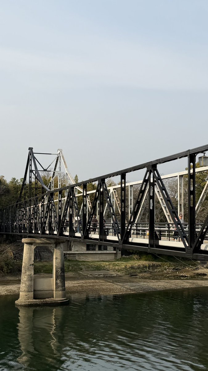 ココナッツ tweet media