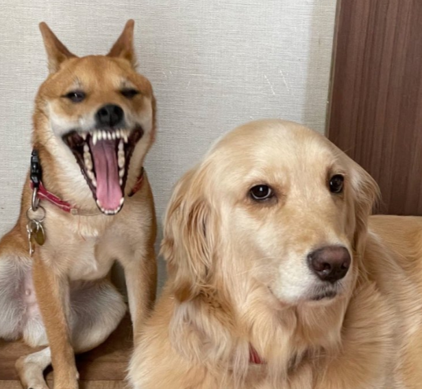 KEQUE🫘🆙 tweet media