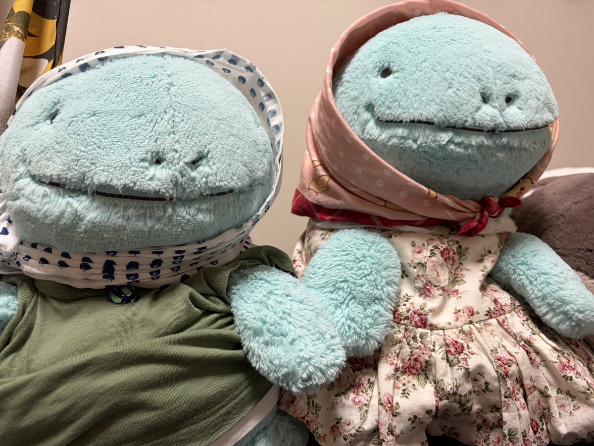 はち🔍☕️ tweet media