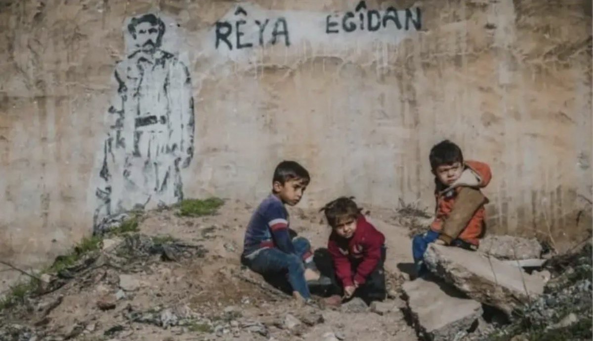 serborîya çêleka sêgavderengmayî tweet media