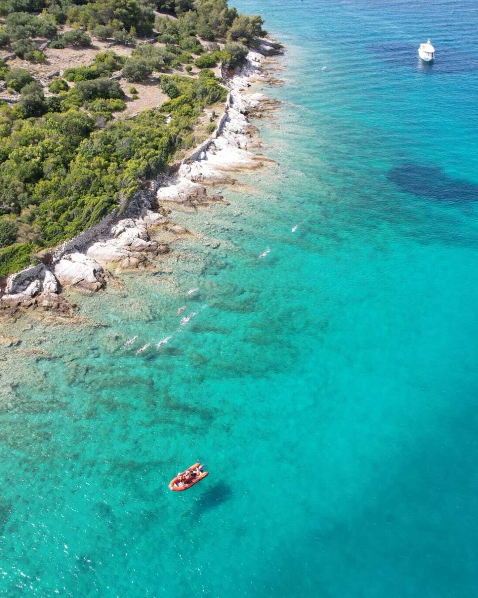 SwimTrek tweet media