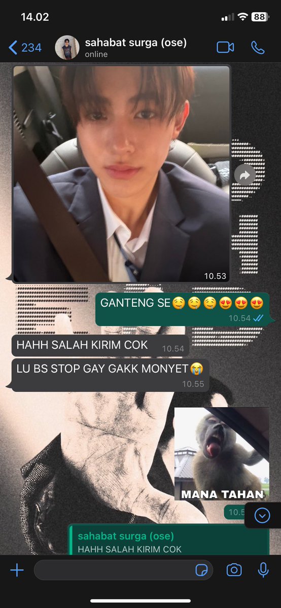 sa ☆ REST. tweet media