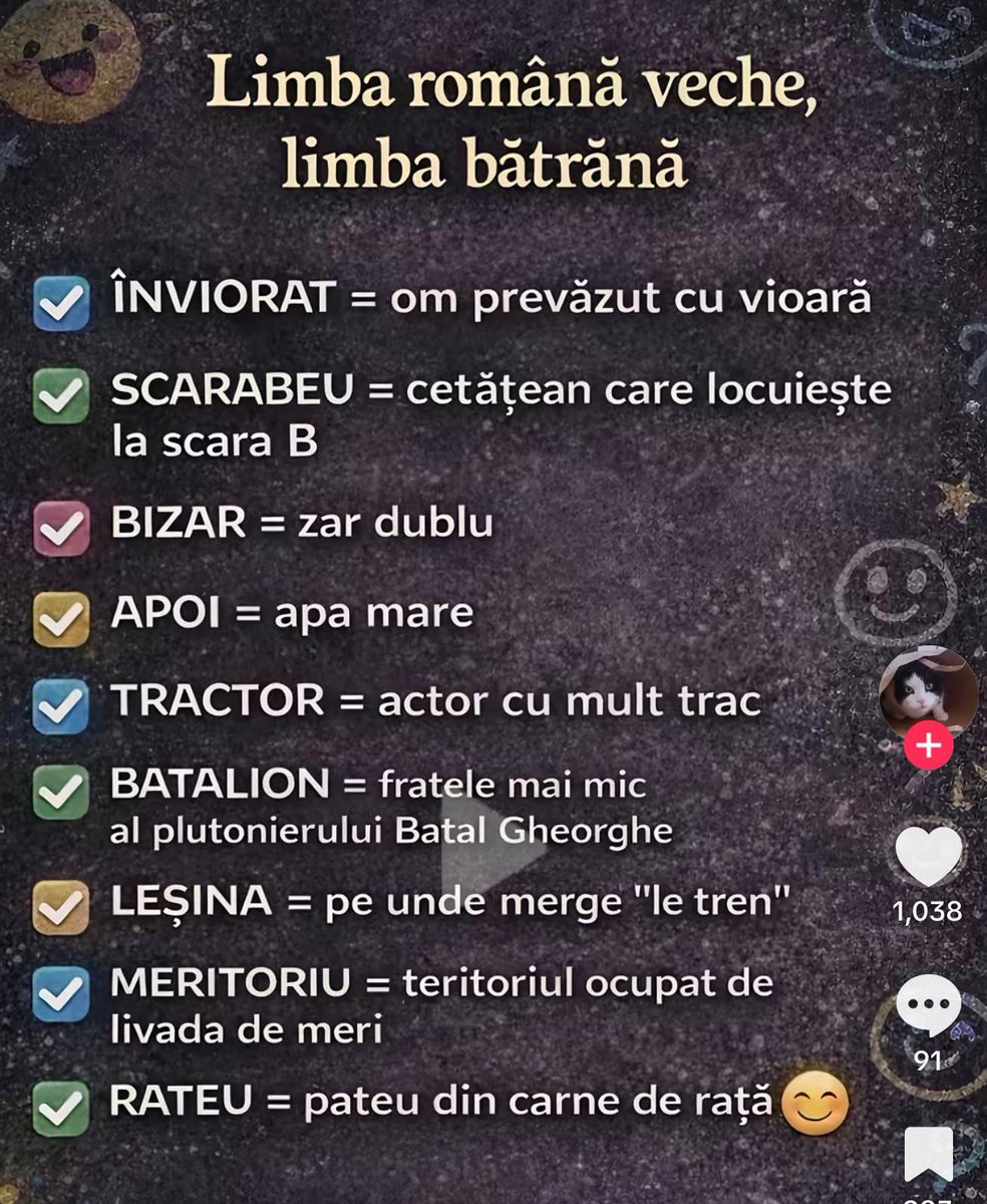 Ana-MariaChapeauBas tweet media